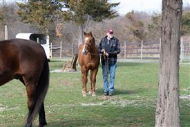 LR-WRF 0402026 Retreat-3064